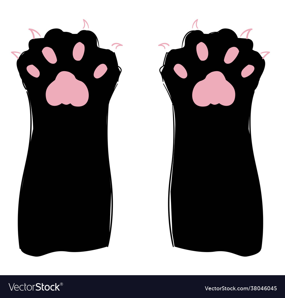Hand drawn cat paws with claws print vector illustration happy cat